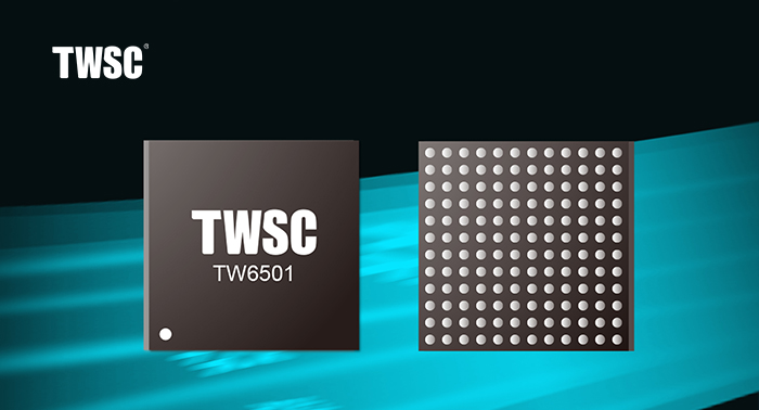 国内首颗！支持ONFI 5.0 的TW6501 SATA SSD存储芯片